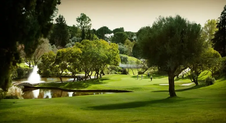Attractions à Marbella – La Maison Banus